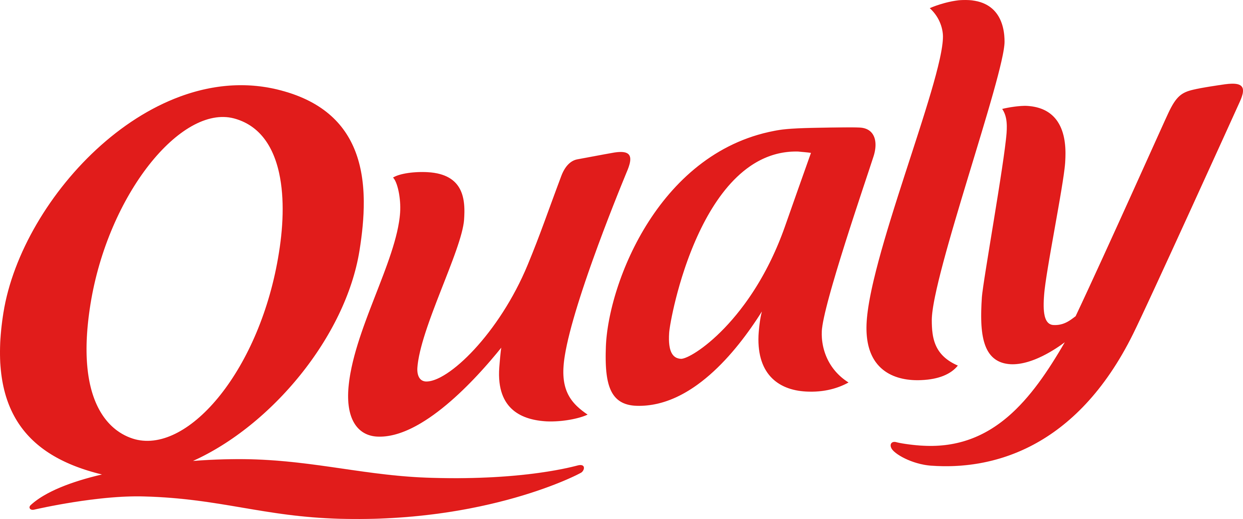 qualy-logo